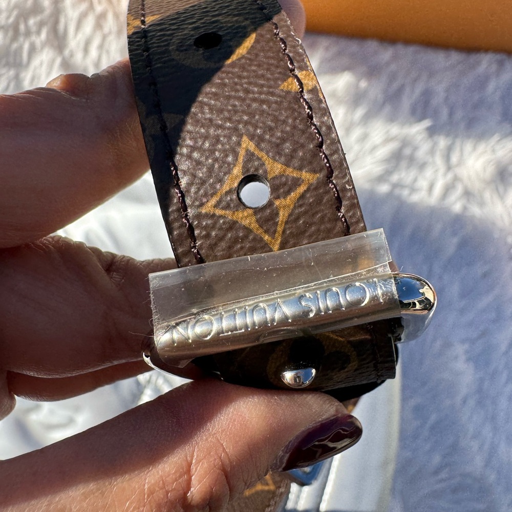 Louis Vuitton Bumbag Maxi Pillow - Picture 11 of 11